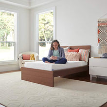 Sealy 8-Inch Foam Bed in a Box, Firm, Twin