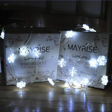 Copper Wire LED String light