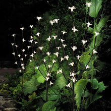 Led Simulation Orchid Branch Lights