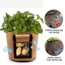 Vegetable, Potato Planter Gardening Bag