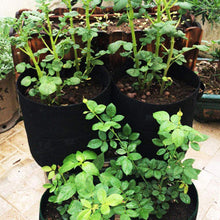 Vegetable, Potato Planter Gardening Bag