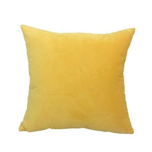 Soft Velvet Decorative Cushion Cover