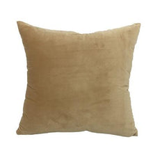 Soft Velvet Decorative Cushion Cover