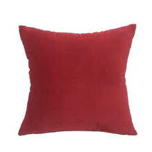 Soft Velvet Decorative Cushion Cover