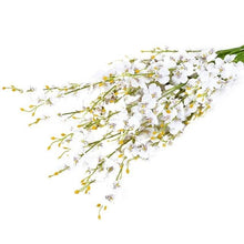 Eucalyptus Plastic Artificial Plants