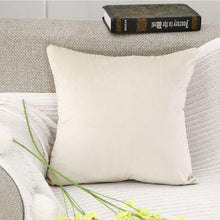Soft Velvet Decorative Cushion Cover