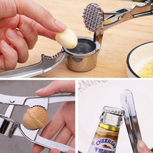 Stainless Steel Garlic Press Crusher