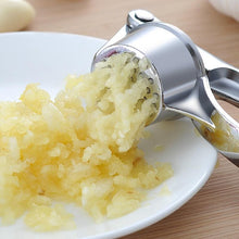 Stainless Steel Garlic Press Crusher