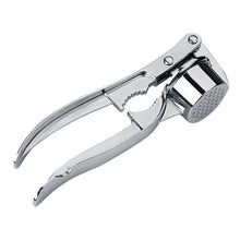 Stainless Steel Garlic Press Crusher