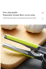Stainless Steel Garlic Press Crusher