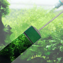 Fish Tank Double Face Brush