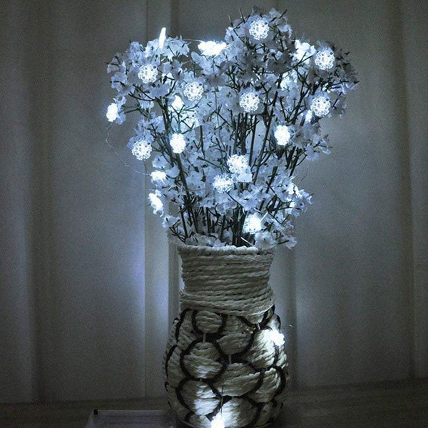Copper Wire LED String light