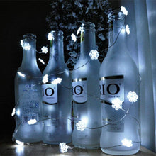 Copper Wire LED String light