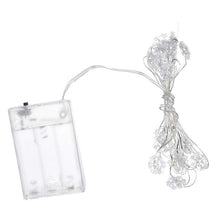 Copper Wire LED String light